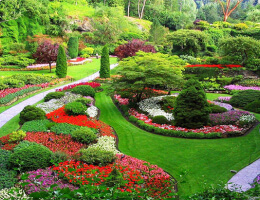 Landscaped Patio Courtyard