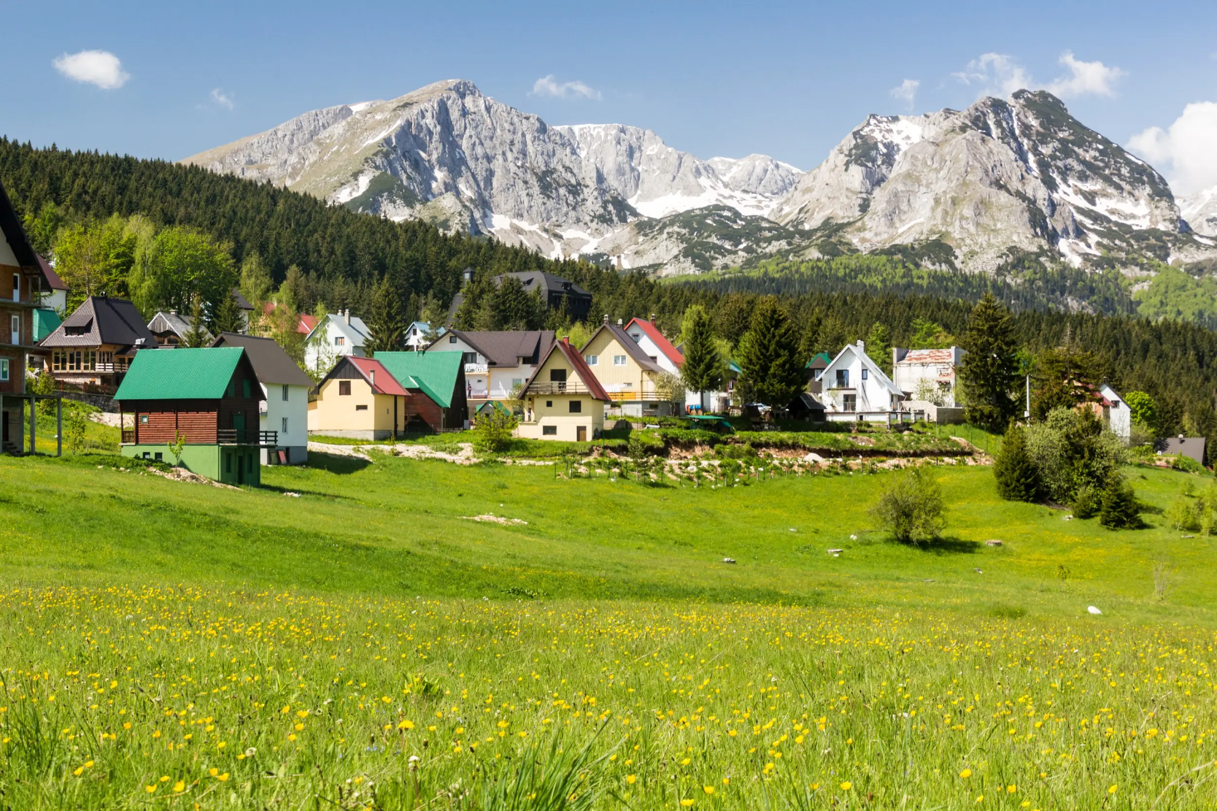    Žabljak
