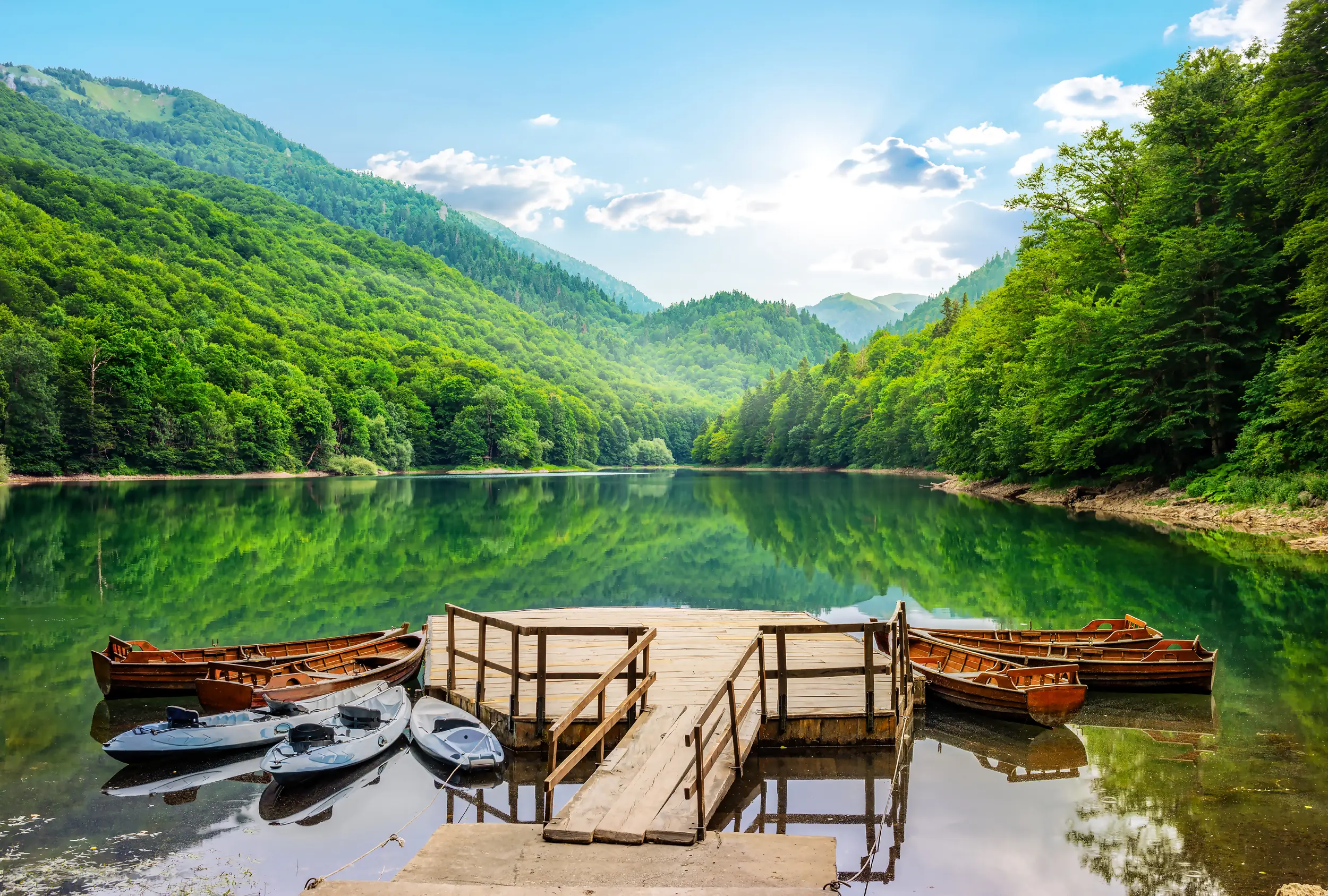    Biogradska Gora